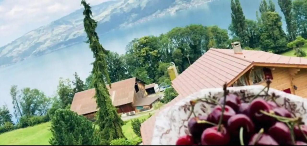 Lakeview Rustic Krattigen Esterno foto
